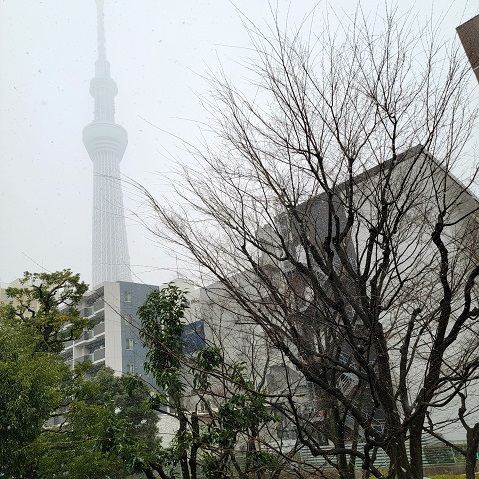 f:id:kemu-no-work2020:20220107175218j:plain