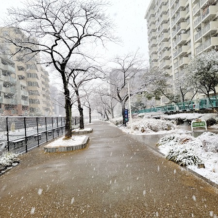 f:id:kemu-no-work2020:20220107180806j:plain