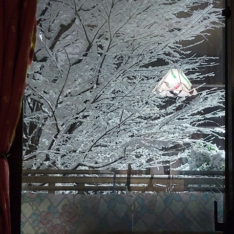 f:id:kemu-no-work2020:20220107181216j:plain