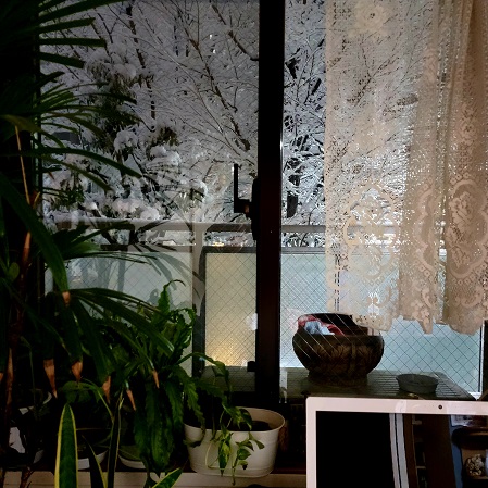 f:id:kemu-no-work2020:20220107181312j:plain