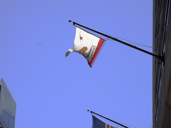 f:id:kemu-no-work2020:20220120102106j:plain