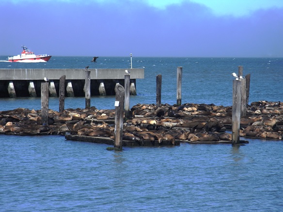 f:id:kemu-no-work2020:20220120103427j:plain