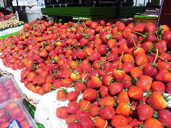 f:id:kemu-no-work2020:20220120184549j:plain