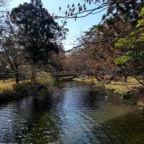 f:id:kemu-no-work2020:20220310130215j:plain