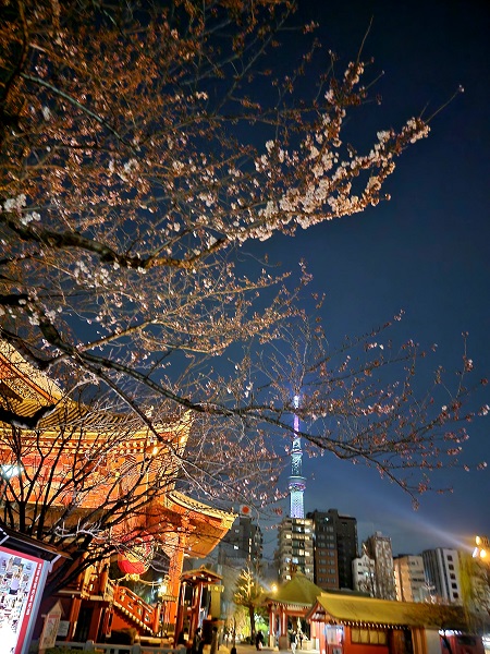 f:id:kemu-no-work2020:20220326090411j:plain