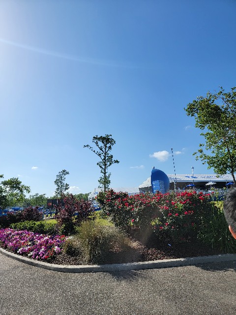 f:id:kemu-no-work2020:20220428034348j:image f:id:kemu-no-work2020:20220428034348j:image