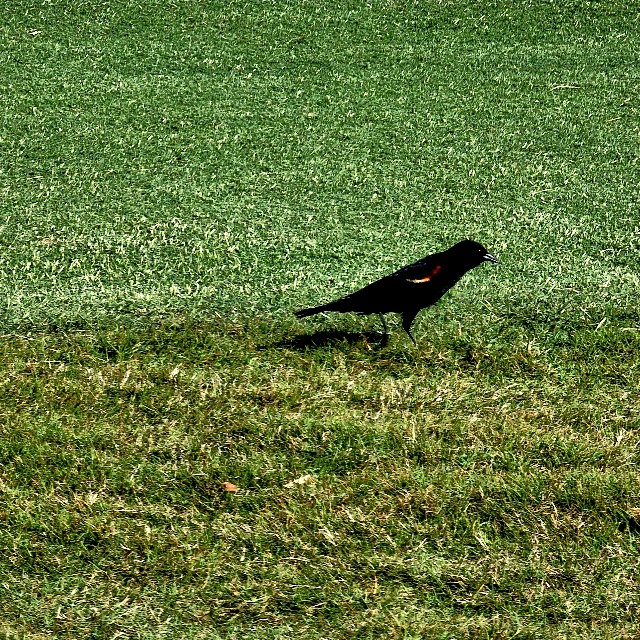 f:id:kemu-no-work2020:20220428034400j:image f:id:kemu-no-work2020:20220428034400j:image