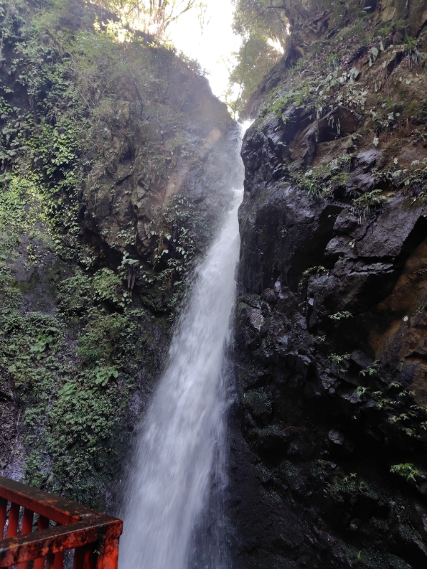 f:id:ken-boon:20261012055110j:image f:id:ken-boon:20261012055110j:image
