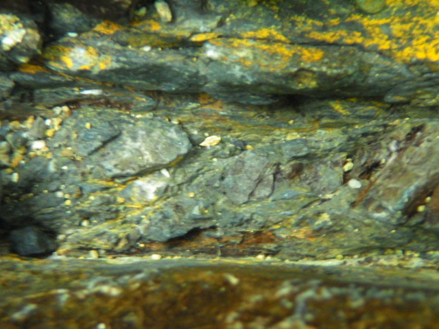 イメージ 9
