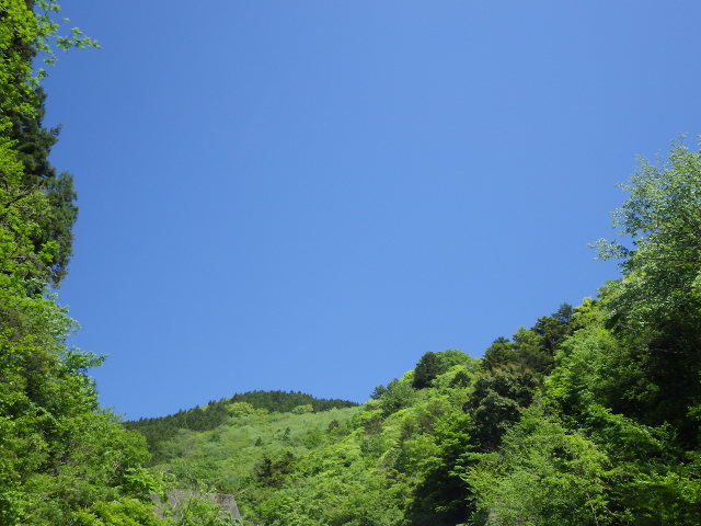 イメージ 6
