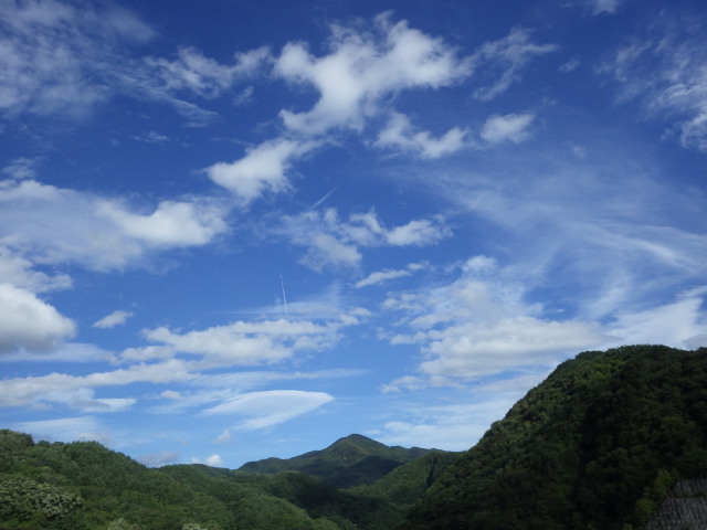 イメージ 8