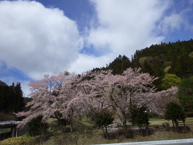 イメージ 9