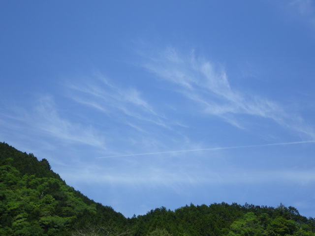 イメージ 14