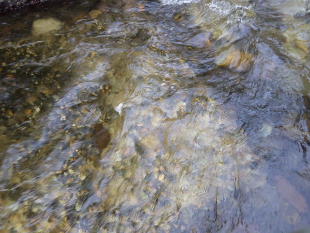 イメージ 13