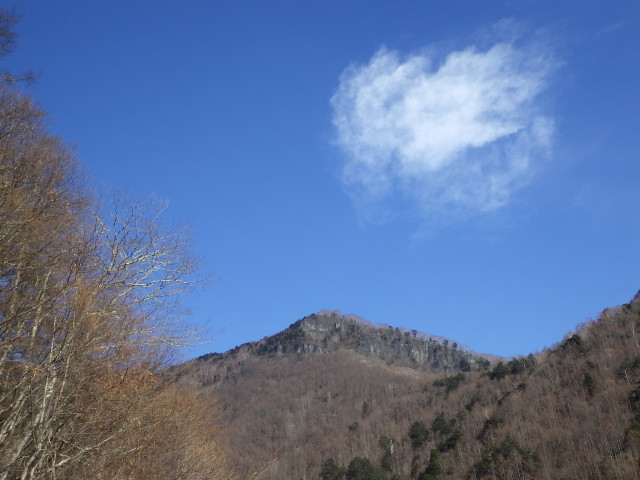 イメージ 7