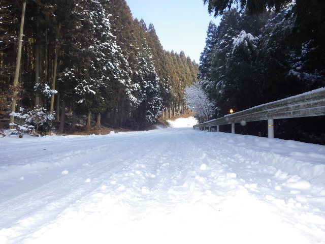 イメージ 5