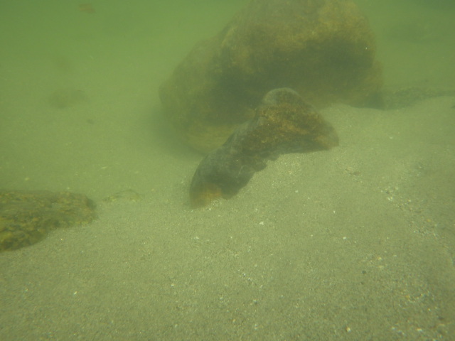 イメージ 6