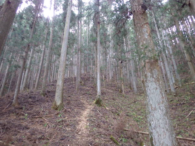 イメージ 3