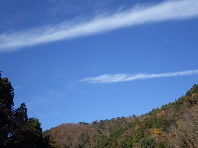 イメージ 13
