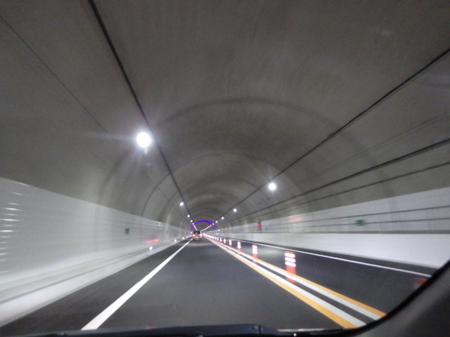 イメージ 7