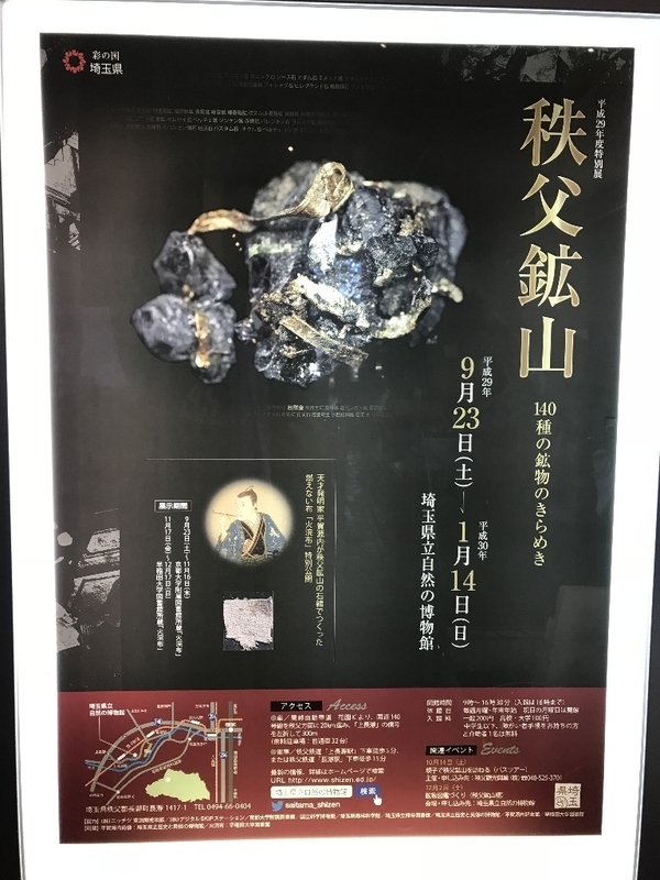 イメージ 7