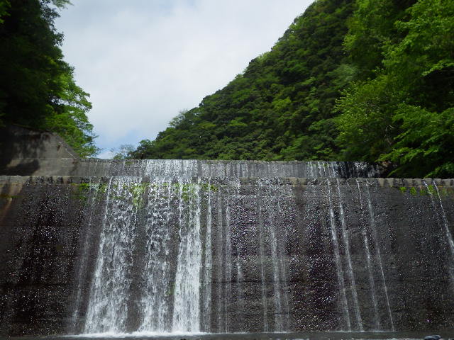 イメージ 7