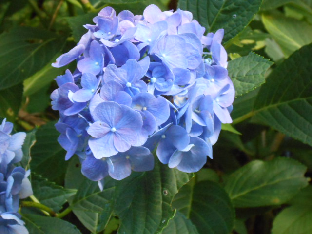 イメージ 11