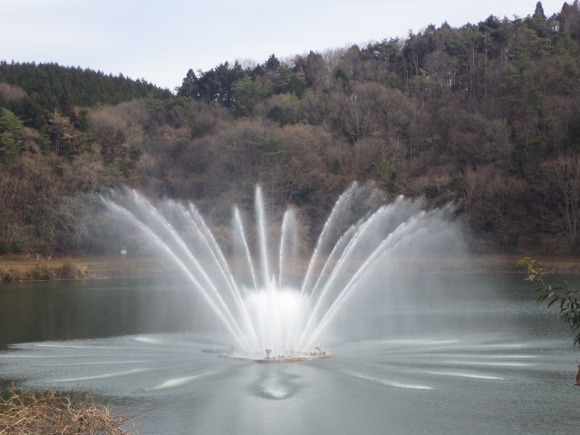 イメージ 6