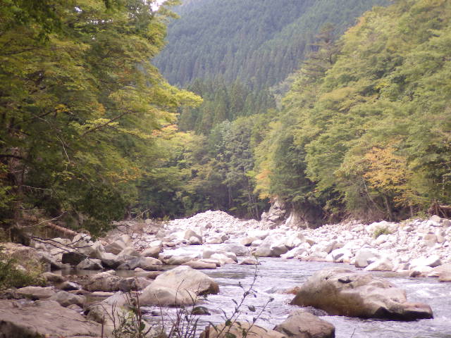 イメージ 2