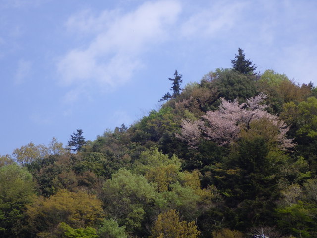 イメージ 2