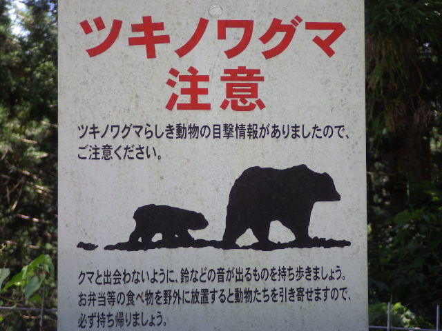 イメージ 11