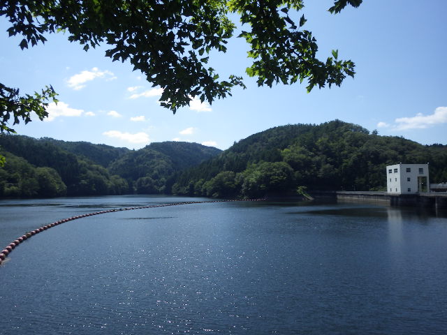 イメージ 8