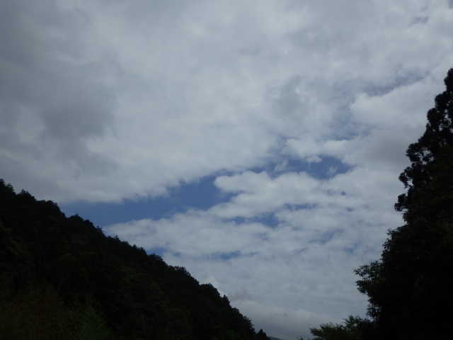 イメージ 9