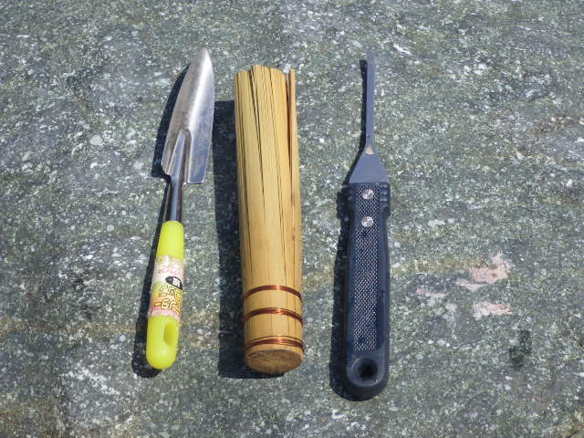 イメージ 7