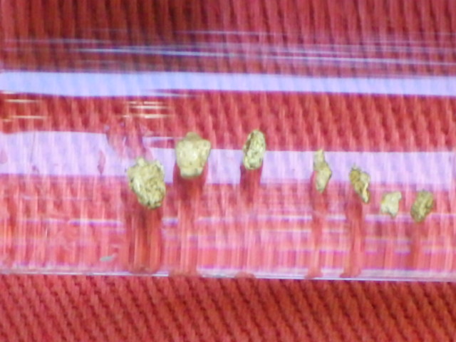 イメージ 8