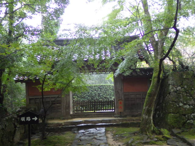 イメージ 16