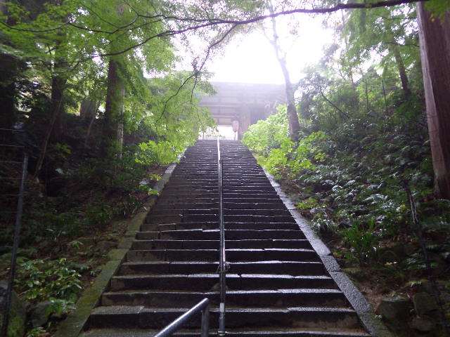 イメージ 24