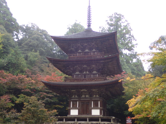 イメージ 10