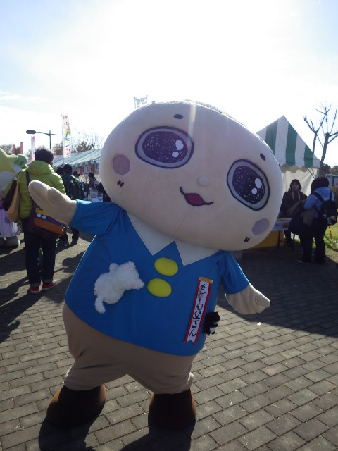 イメージ 13