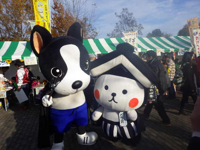 イメージ 18