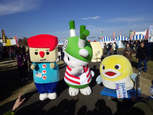 イメージ 7
