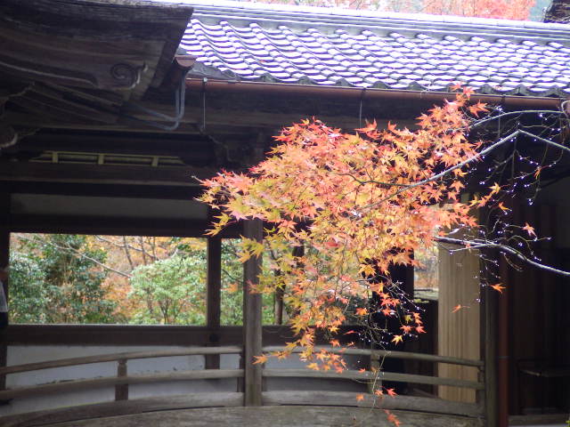 イメージ 16