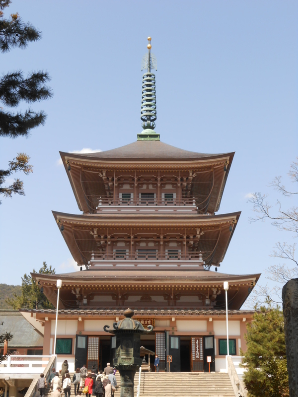 イメージ 7