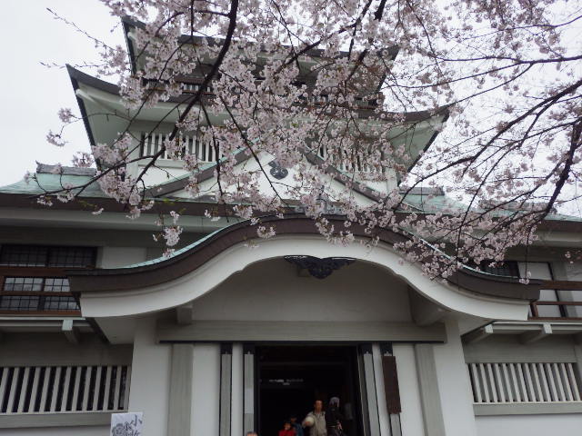 イメージ 14