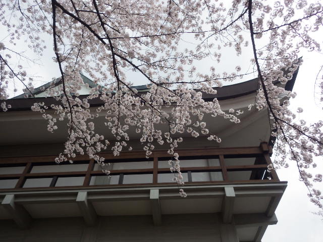 イメージ 15