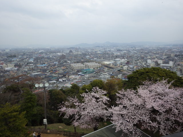 イメージ 16