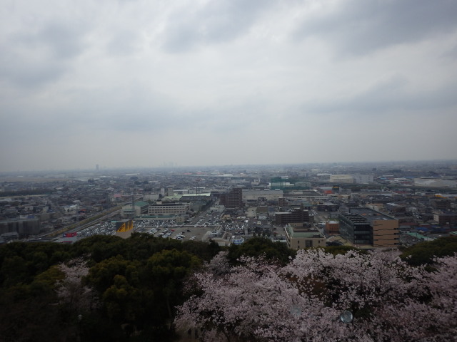 イメージ 17