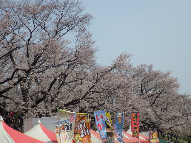 イメージ 14