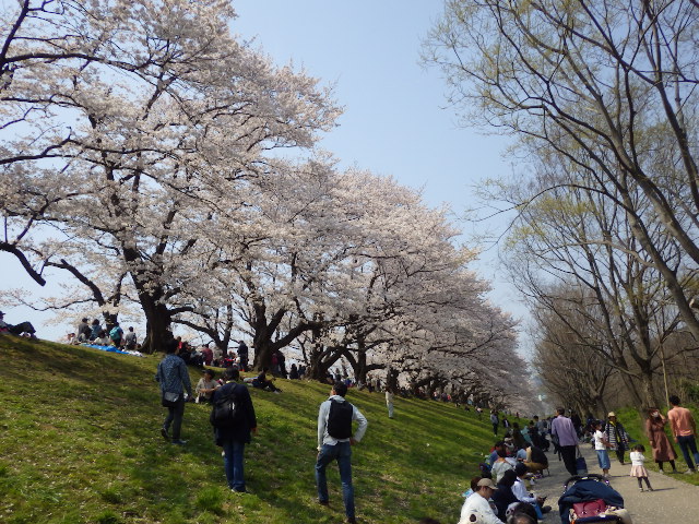 イメージ 15