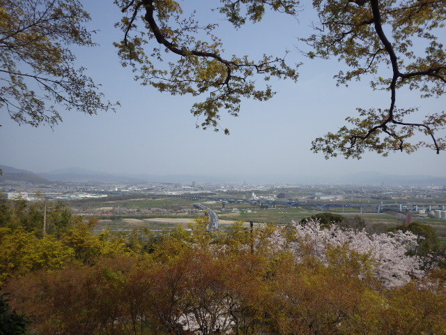 イメージ 6